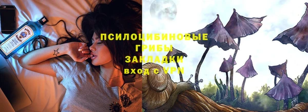 крисы Осташков
